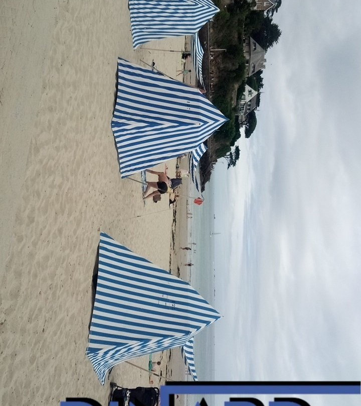 Plage de l'Ecluse景点图片