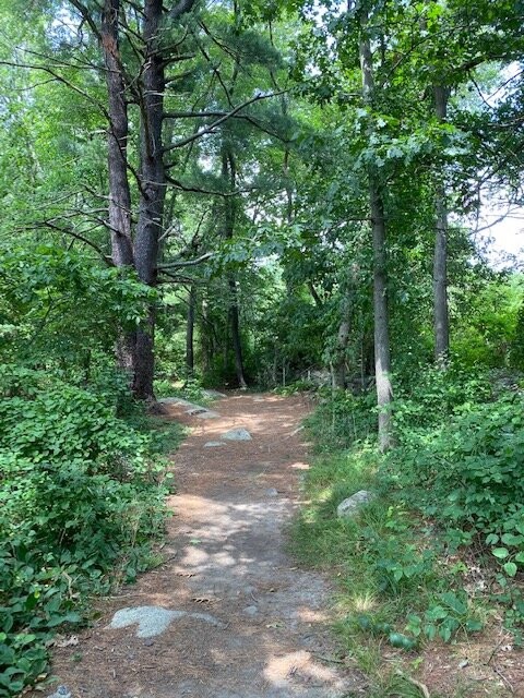 Pond Meadow Park-布伦特里必去景点