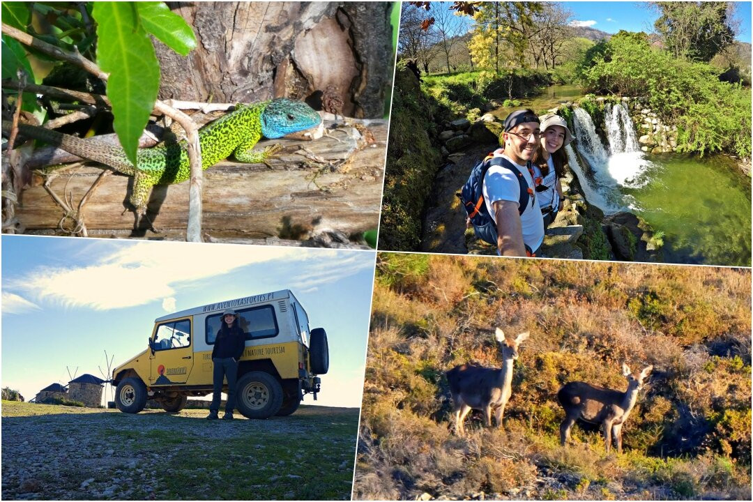 Aventuras Forte(s) - Turismo de Natureza-科英布拉区必去景点