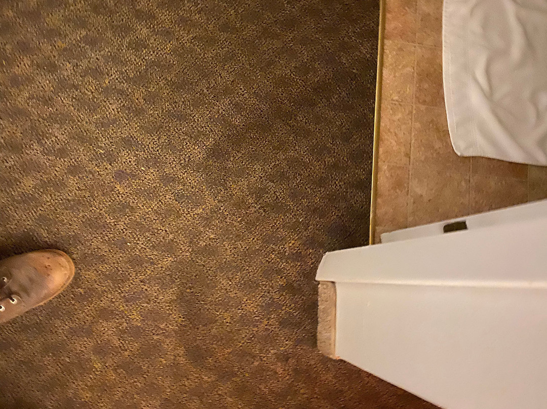 辽阔的天空汽车旅馆主图