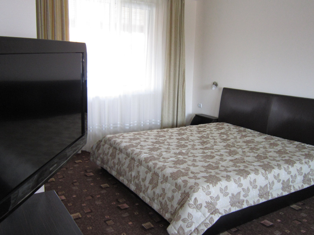 Hotel Alpina主图