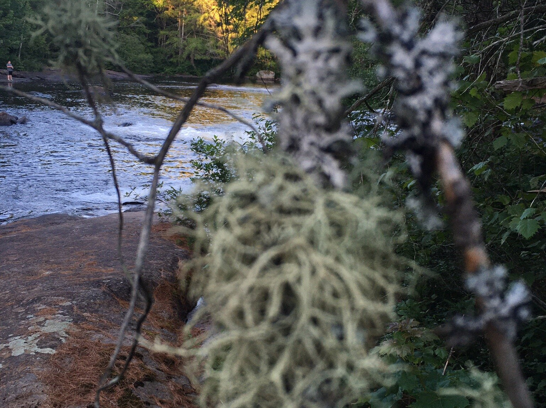 Bog River Falls景点图片