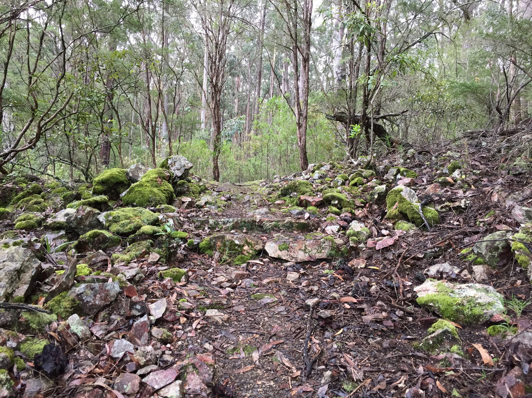 Youngs Creek Falls-Orbost必去景点