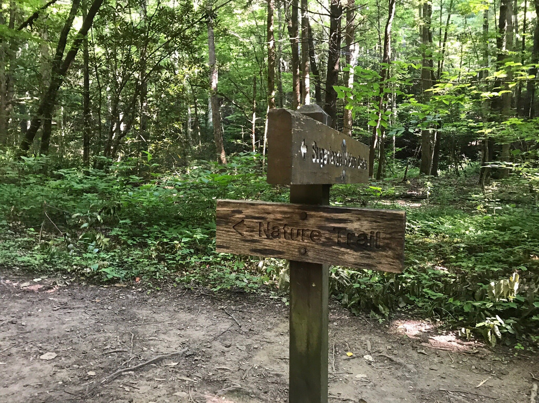 Fighting Creek Trail-大雾山国家公园必去景点