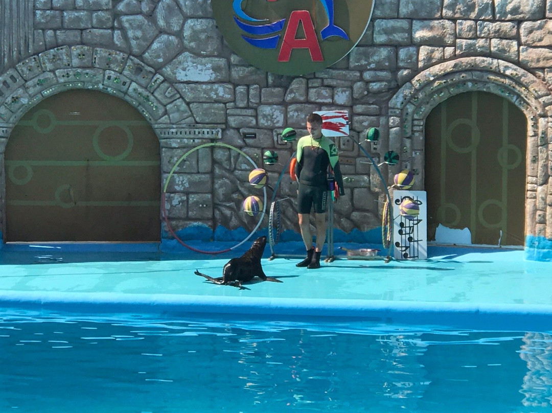 Adler Dolphinarium-索契必去景点