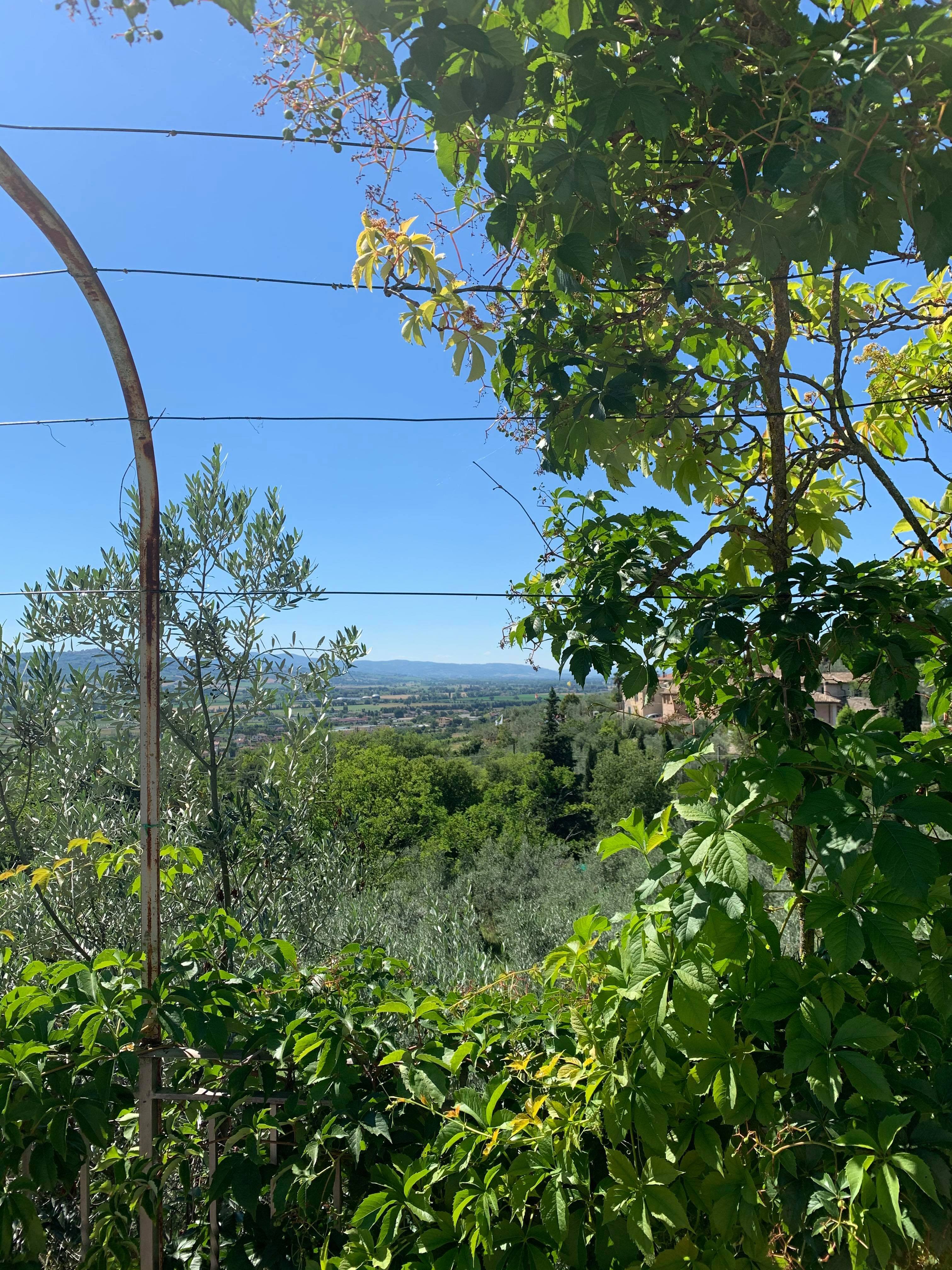 SetterHouse AgriHotel-浴室