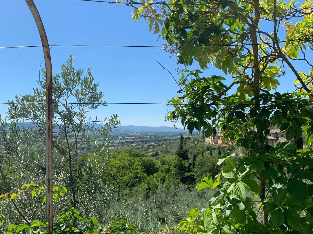 SetterHouse AgriHotel主图