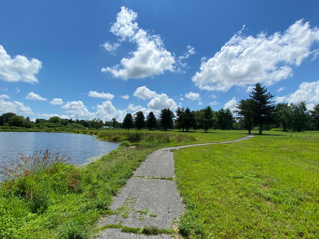 Brantwood Regional Park-埃尔克顿必去景点