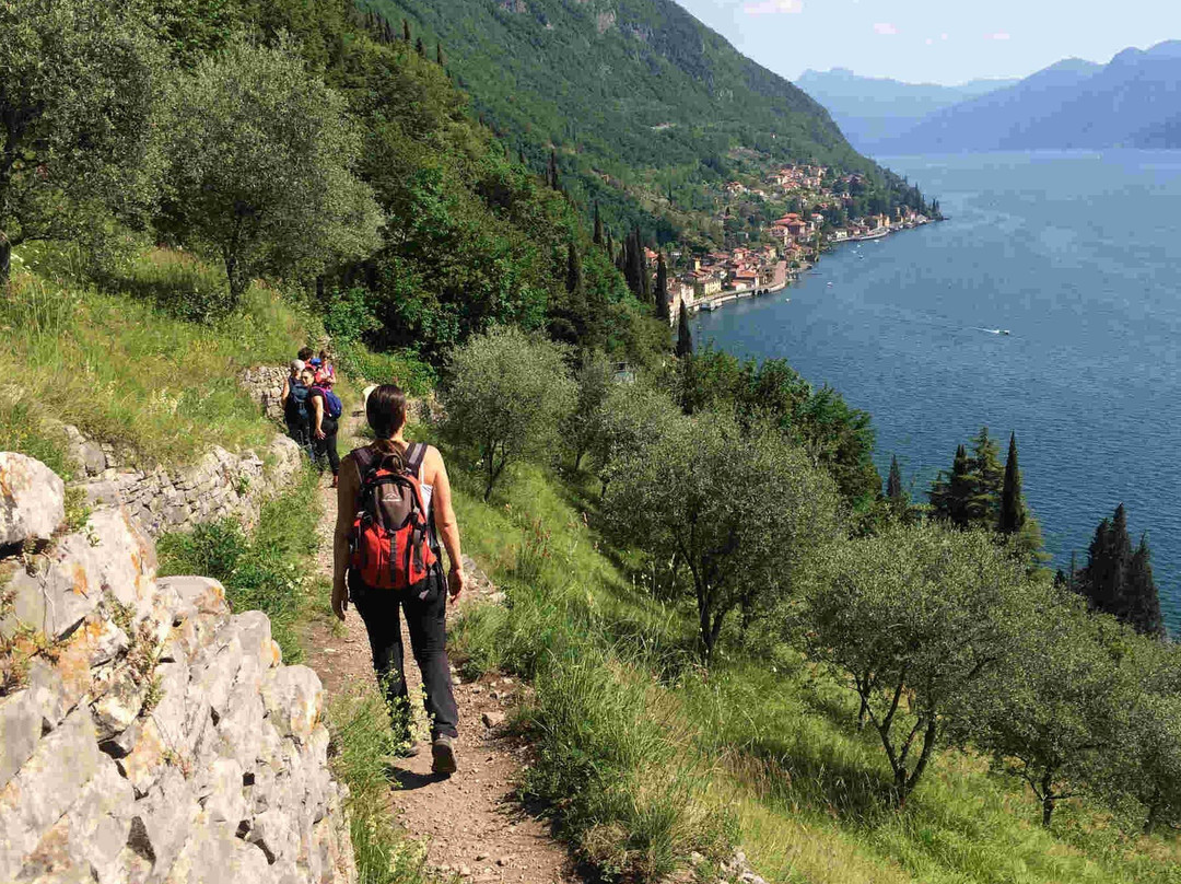 Taste & Travel Italy - FREE TOUR and more-贝拉焦必去景点