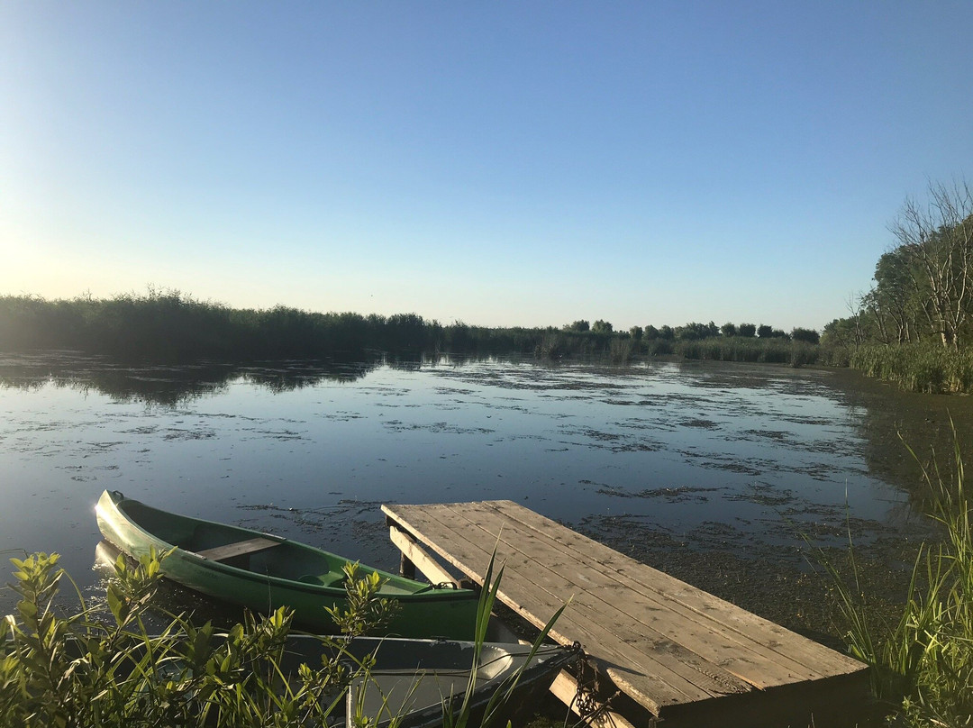 Comana Natural Park景点图片
