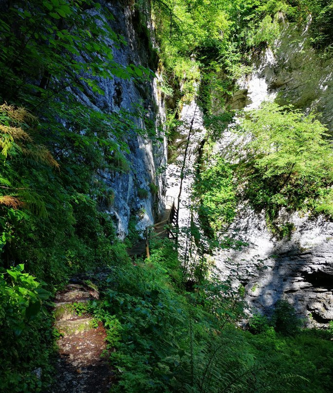 Pokljuška soteska Gorge景点图片