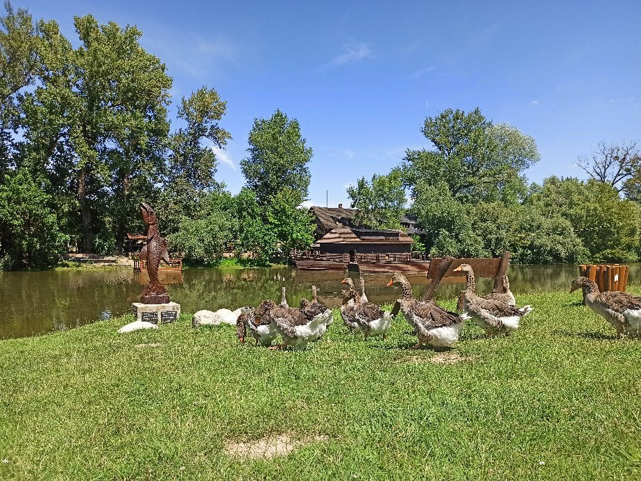 Water Mill Kolárovo-Kolarovo必去景点