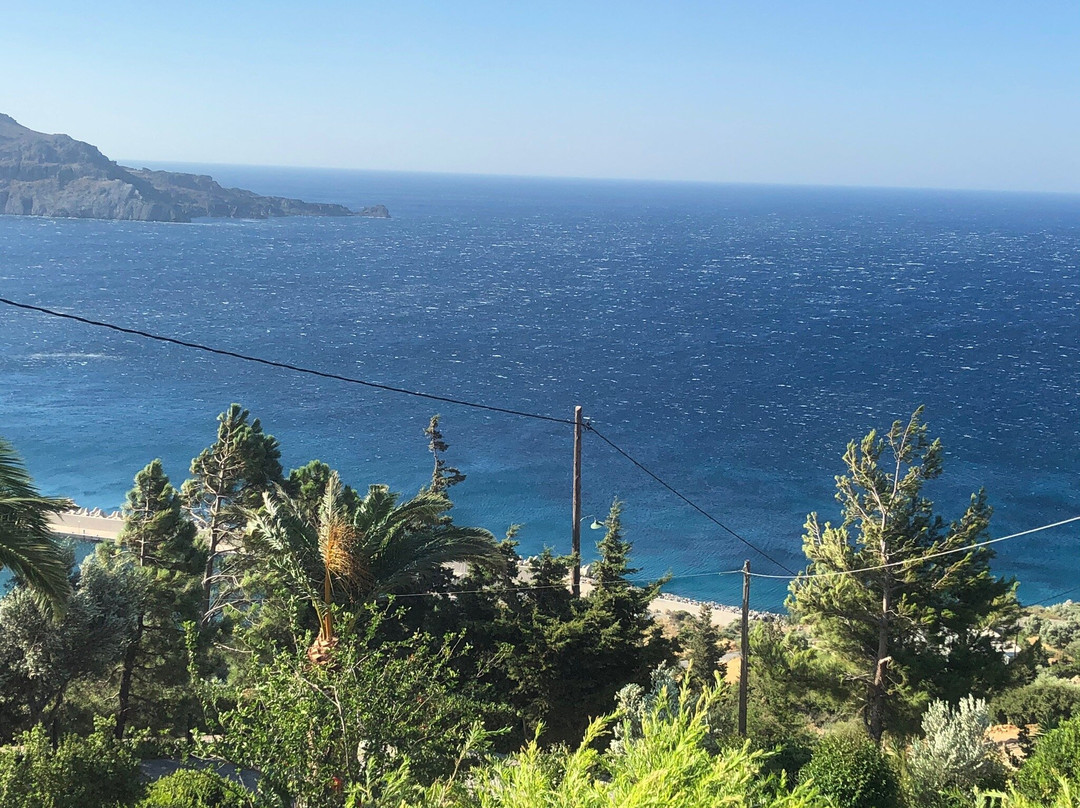 Elgini Studios Apartments主图