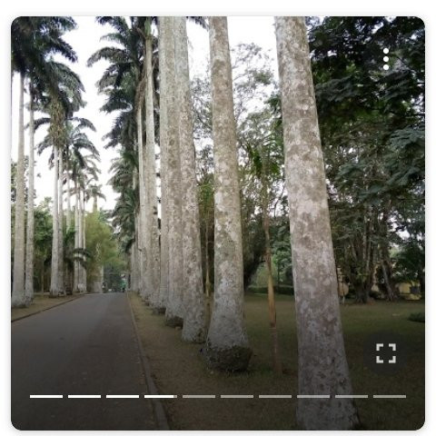 Aburi Botanical Gardens-Aburi必去景点