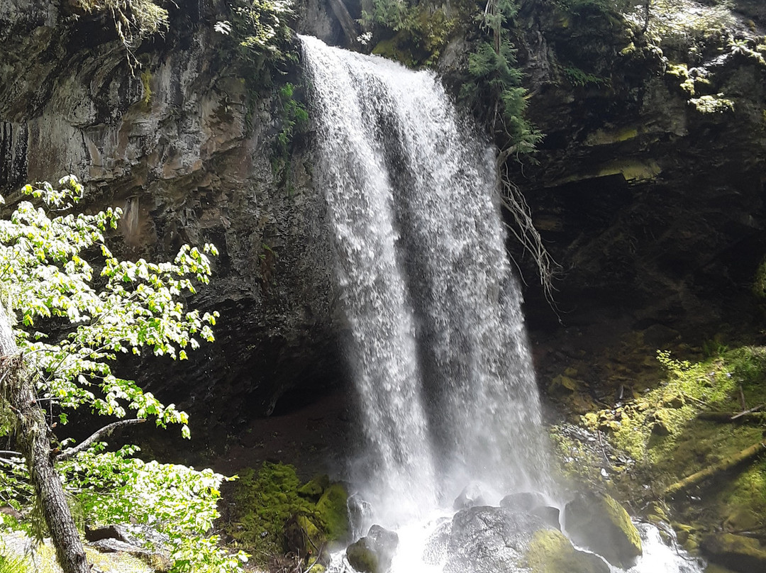 Grotto Falls景点图片