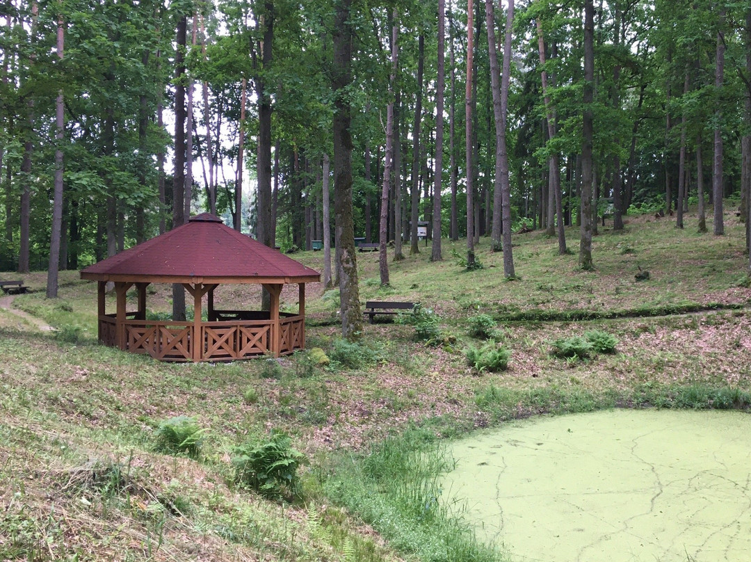 Lesne Arboretum Warmii i Mazur-奥尔什丁必去景点