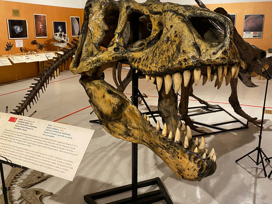 Museum of Ancient Wonders-大教堂城必去景点