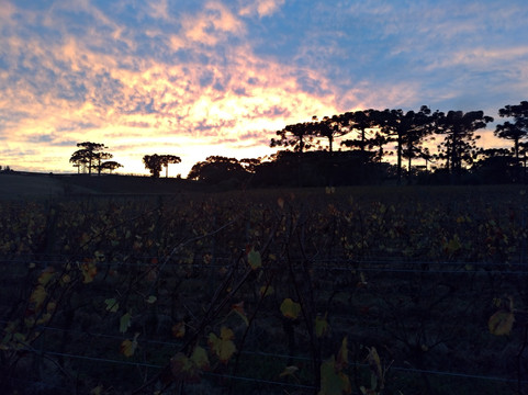 Pousada Don Giovanni主图