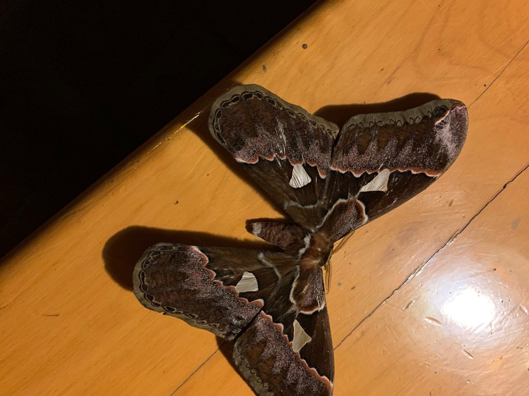 Madre Tierra Resort & Spa主图