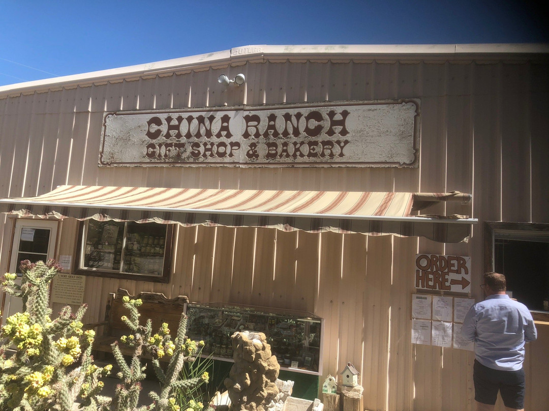 China Ranch Date Farm-Tecopa必去景点
