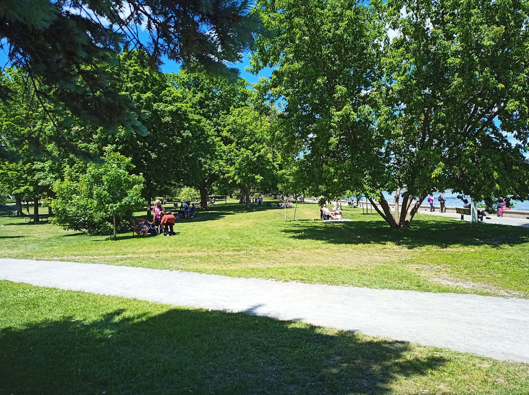 Strathcona Park景点图片