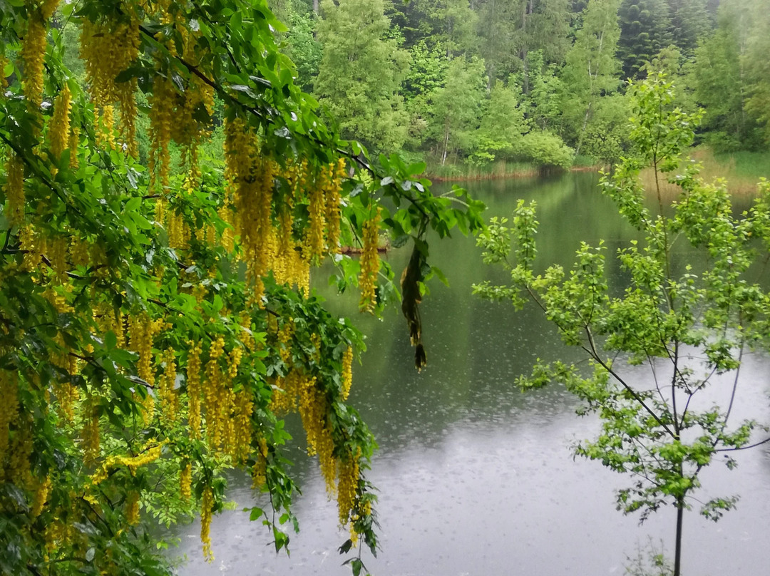 Bruzolo餐馆和美食-Paradiso Delle Rane