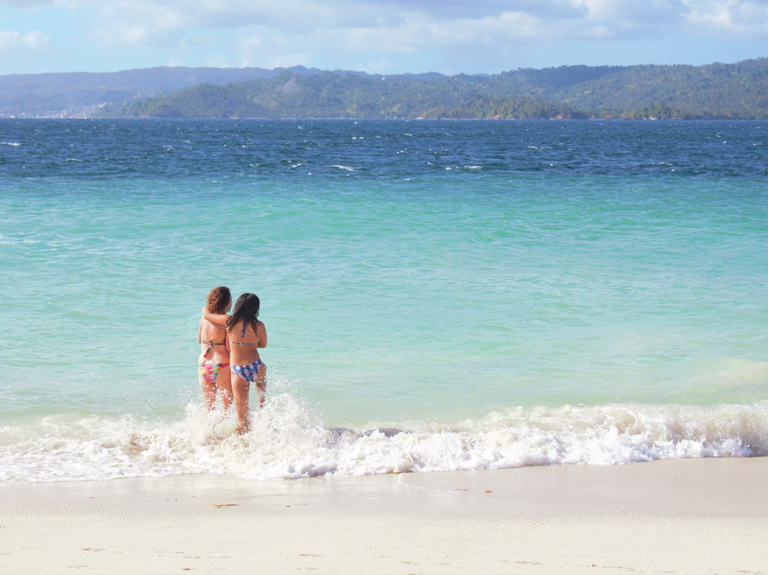 SAMANA WHALE WATCHING TOURS景点图片