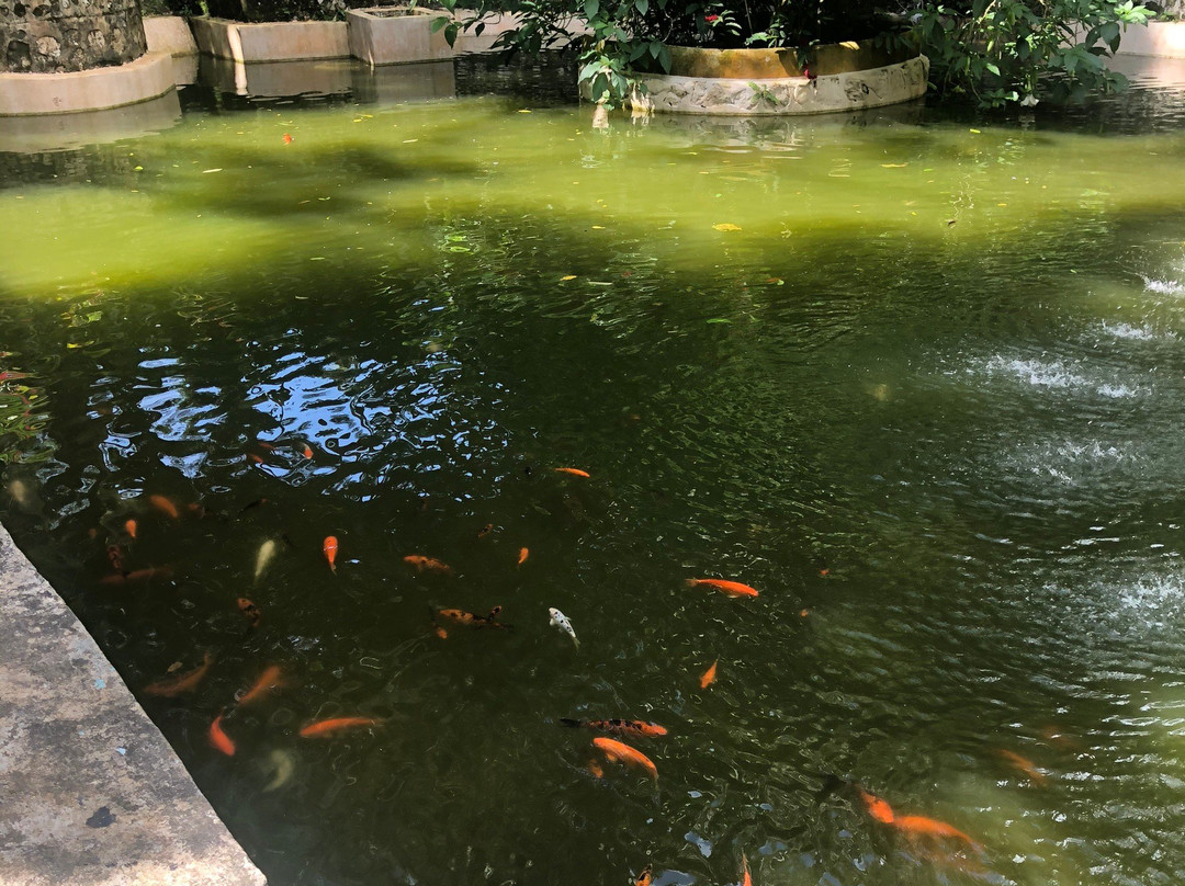 Isabel de Torres Trail-普拉塔港必去景点