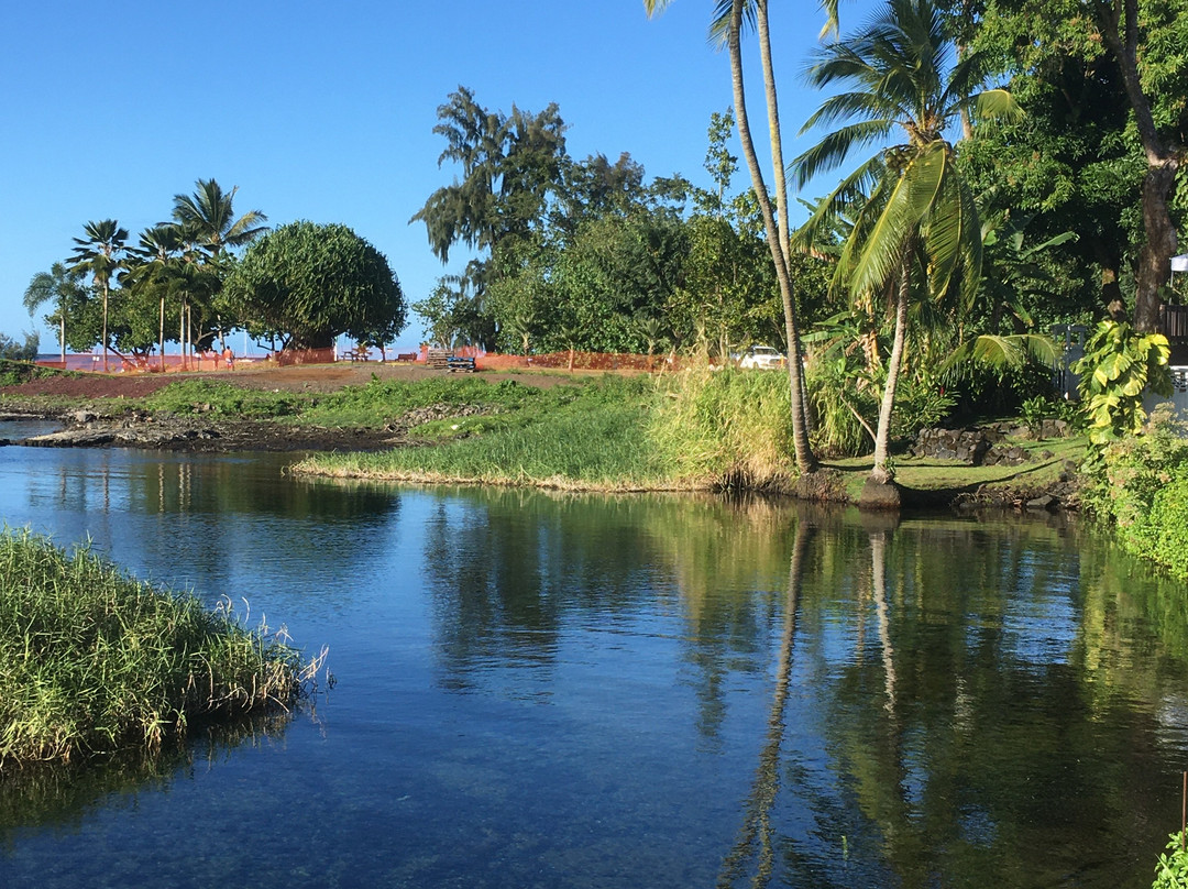 Reeds Bay Beach Park-希洛必去景点