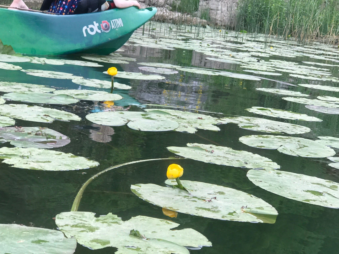 Tourist Agency Outdoor & More-维尔巴札拉必去景点