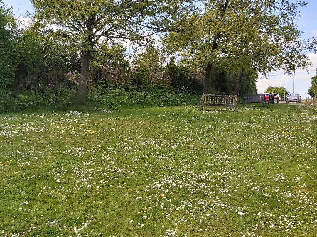 Seaton Down Picnic Area-Seaton必去景点