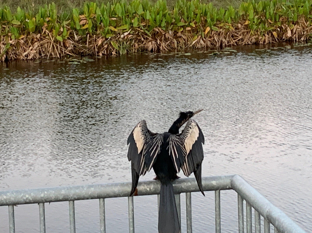 John Yarbrough Linear Park-迈尔斯堡必去景点