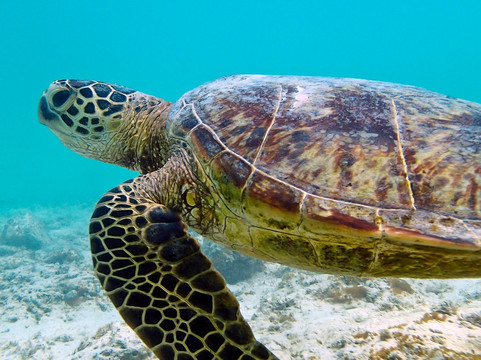 Nautica-努美阿必去景点