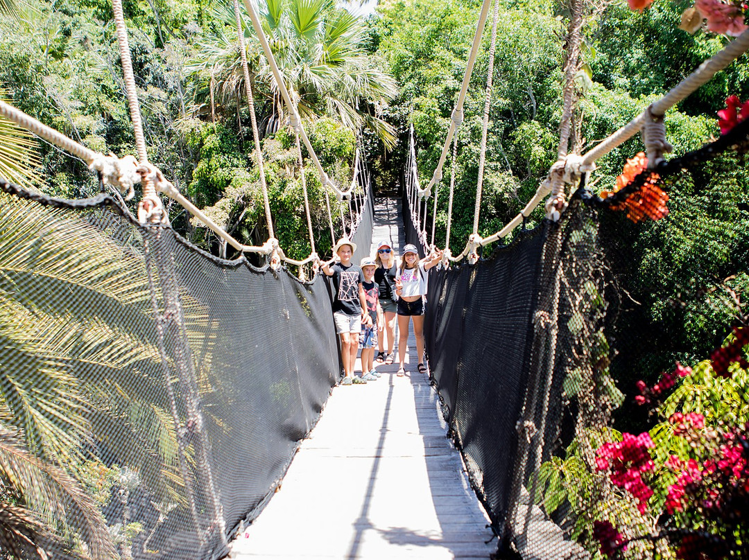 Parque Ecologico Las Aguilas del Teide-特纳里夫必去景点