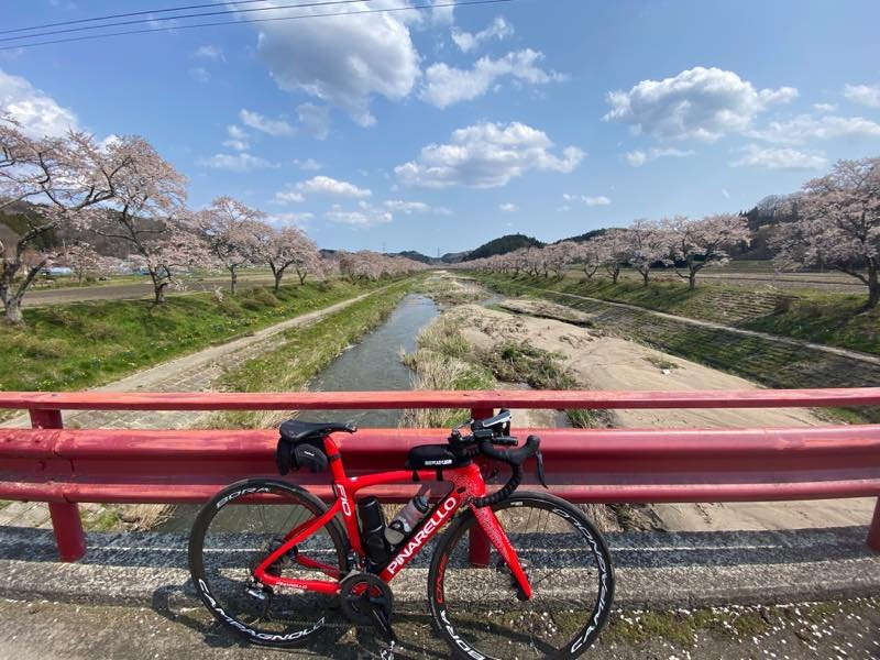 Natsui Sembong Sakura-小野町必去景点