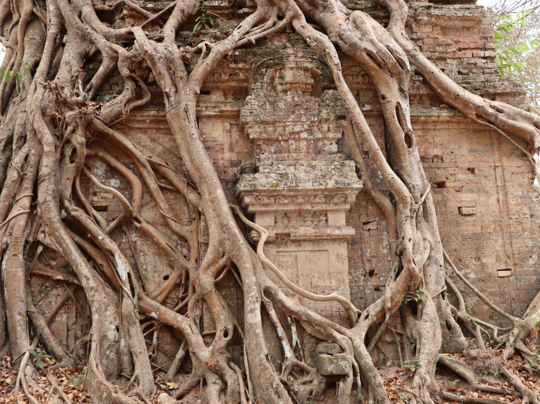 Daem Chrei Temple景点图片