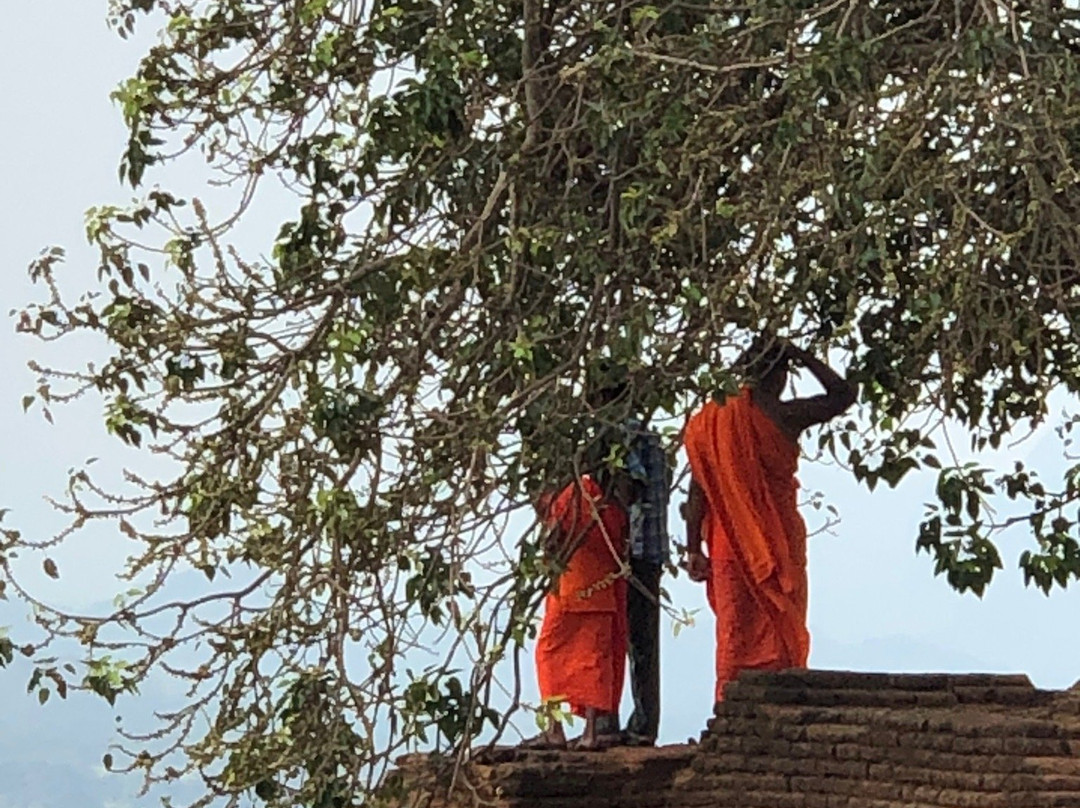 Tharanka Tours景点图片