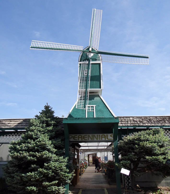 Windmill Garden Centre and Butterfly House景点图片