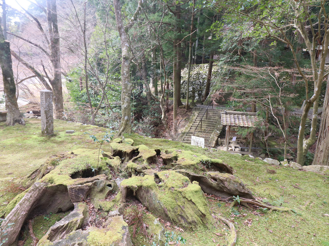 Sekiganji Temple-丹波市必去景点