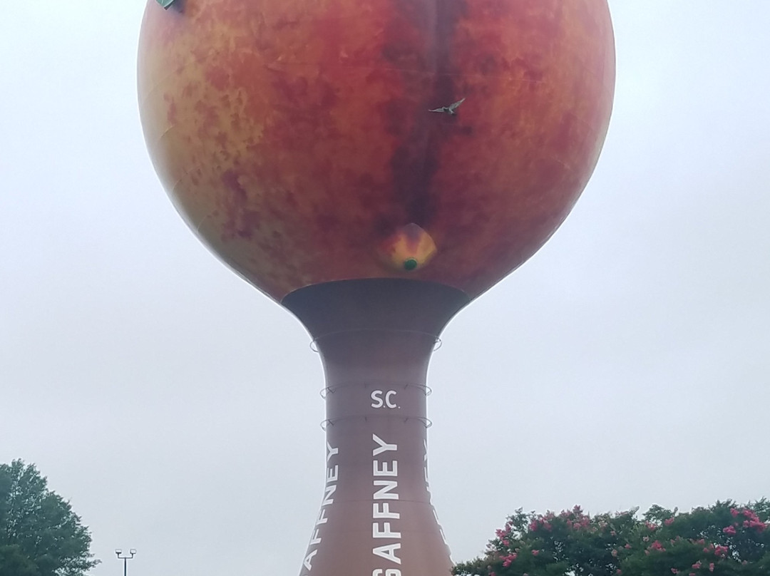 The Peachoid景点图片