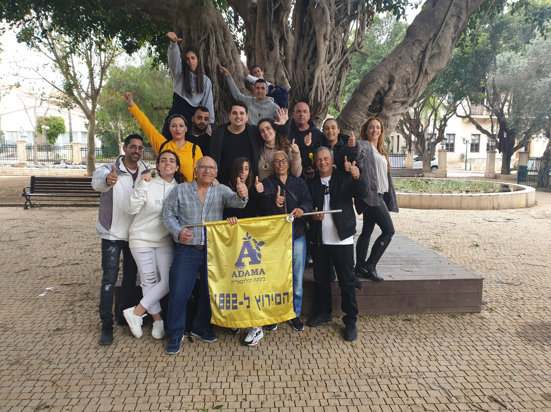 The Race to the Lost Harbor