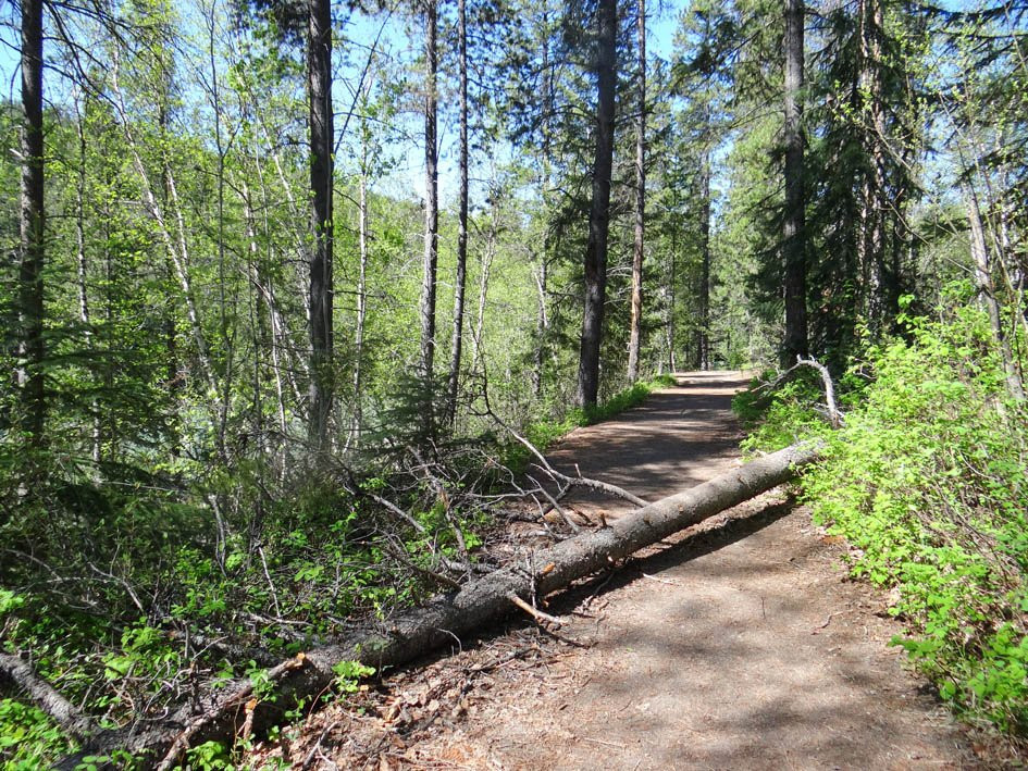 Rearguard Falls-Tete Jaune Cache必去景点