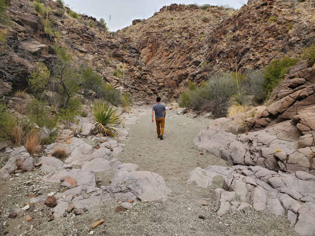 Lower Burro Mesa Pour-off Trail景点图片