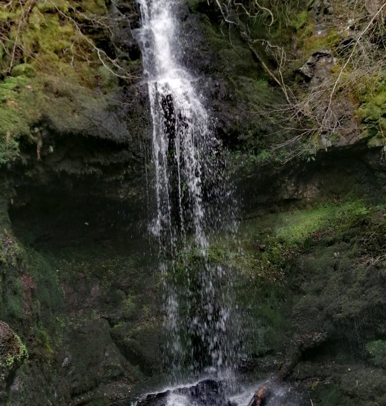 Gleniffer Braes Country Park景点图片