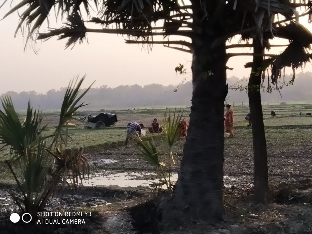 Tapan Dighi-Balurghat必去景点