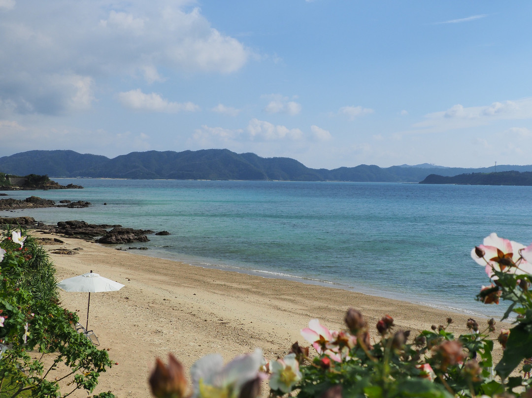 Nest at Amami Beach Villas主图