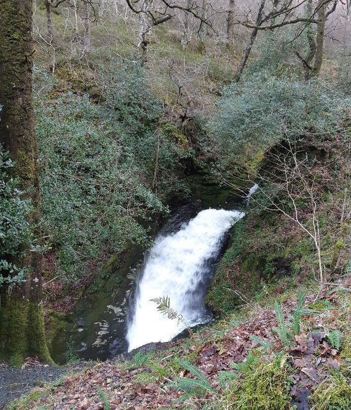 Poulanass Waterfall-Derrybawn必去景点
