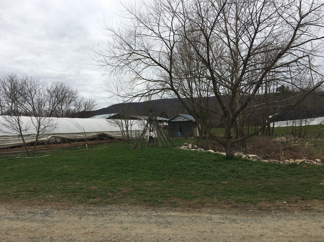 Polyface Farms-Swoope必去景点