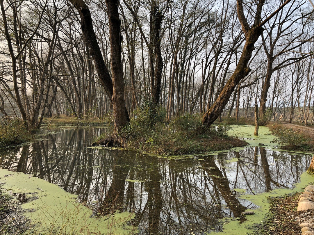 徽州古城-歙县必去景点
