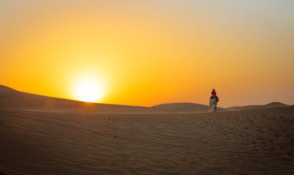 Al Badeyah Eyes Tourism-阿布扎比必去景点